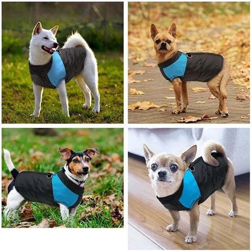 Waterproof Dog Winter Jacket