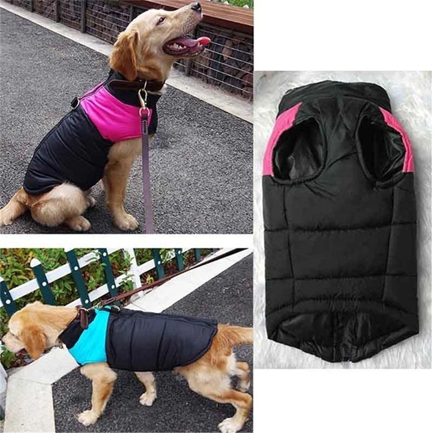 Waterproof Dog Winter Jacket