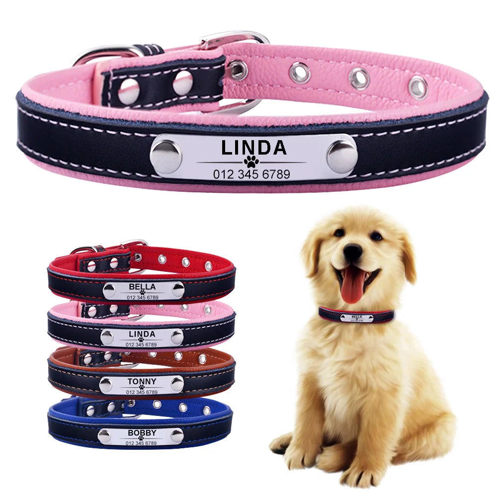 Adjustable Personalized Dog Collar