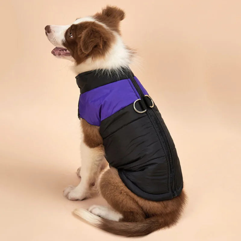 Waterproof Dog Winter Jacket