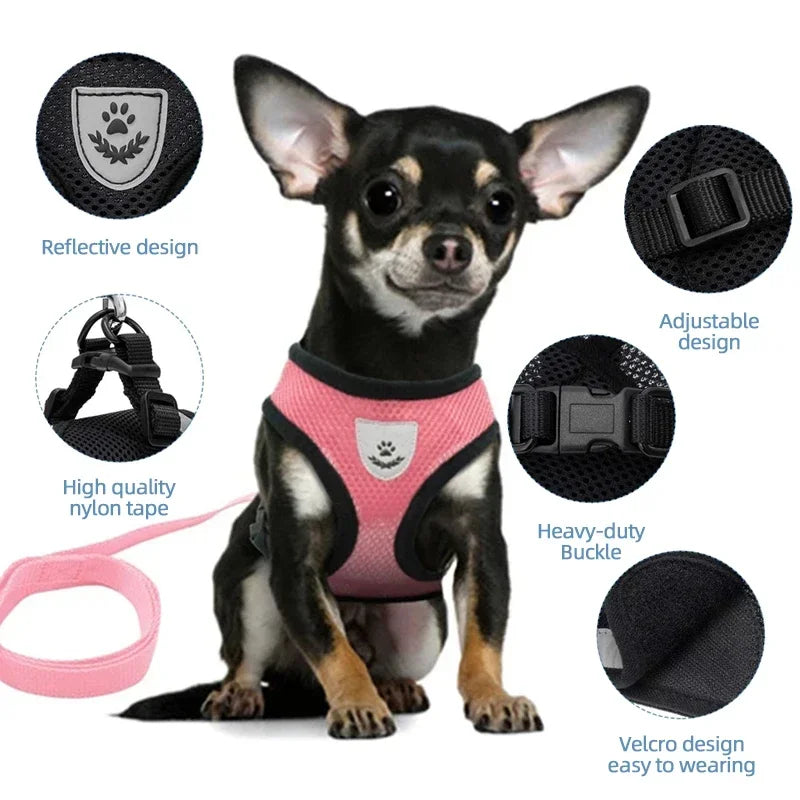 Adjustable Mesh Cat & Dog Harness with Leash – Small to Medium Pets