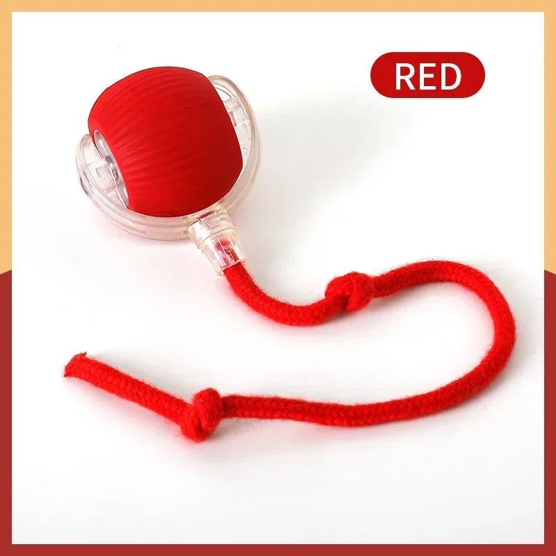 Smart Rechargeable Rolling Cat Toy with Faux Tail – Interactive Training Ball for Cats & Dogs