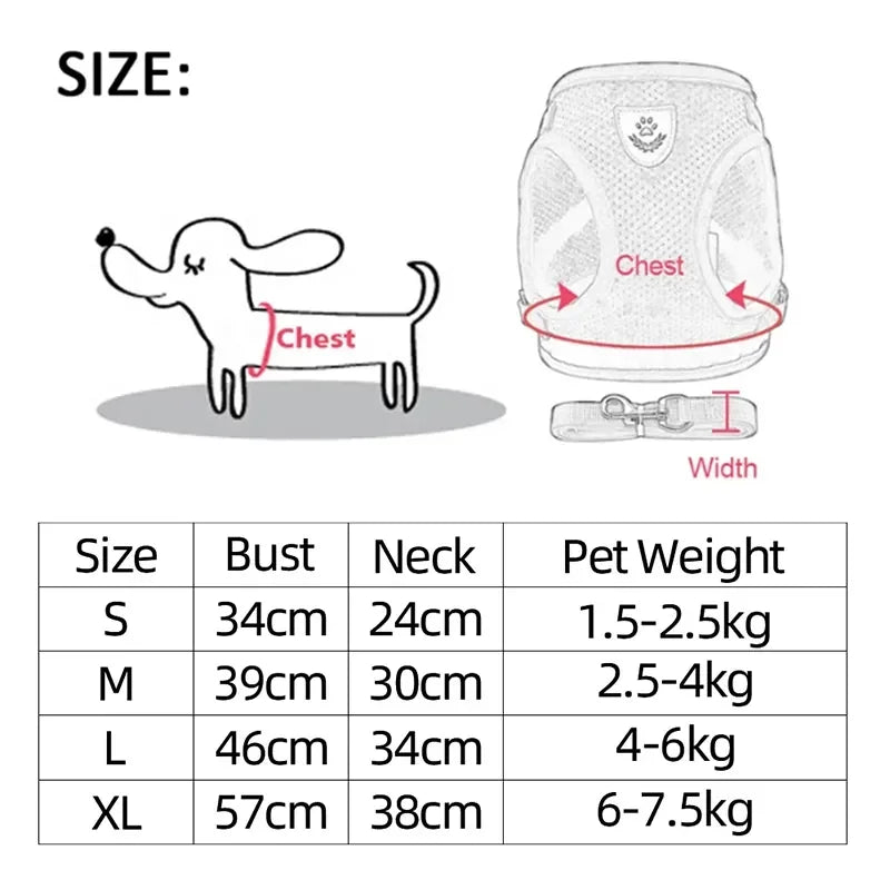 Adjustable Mesh Cat & Dog Harness with Leash – Small to Medium Pets
