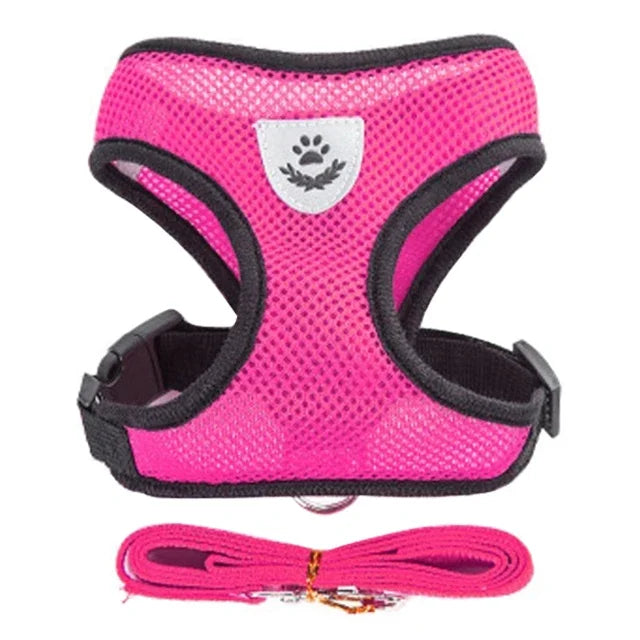 Adjustable Mesh Cat & Dog Harness with Leash – Small to Medium Pets