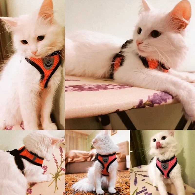 Adjustable Mesh Cat & Dog Harness with Leash – Small to Medium Pets
