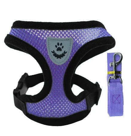 Adjustable Mesh Cat & Dog Harness with Leash – Small to Medium Pets