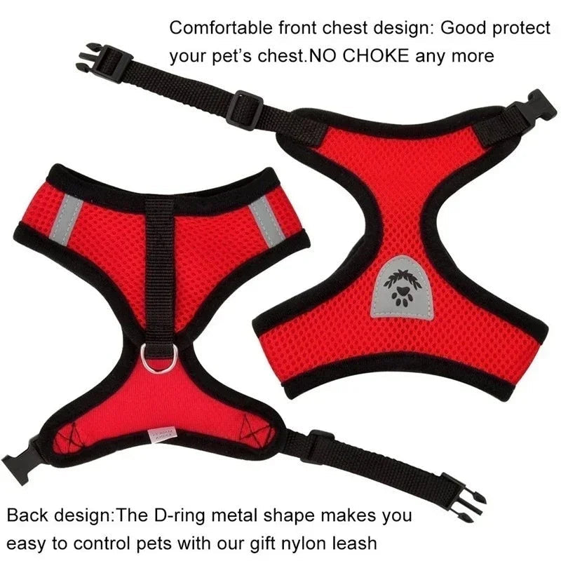 Adjustable Mesh Cat & Dog Harness with Leash – Small to Medium Pets