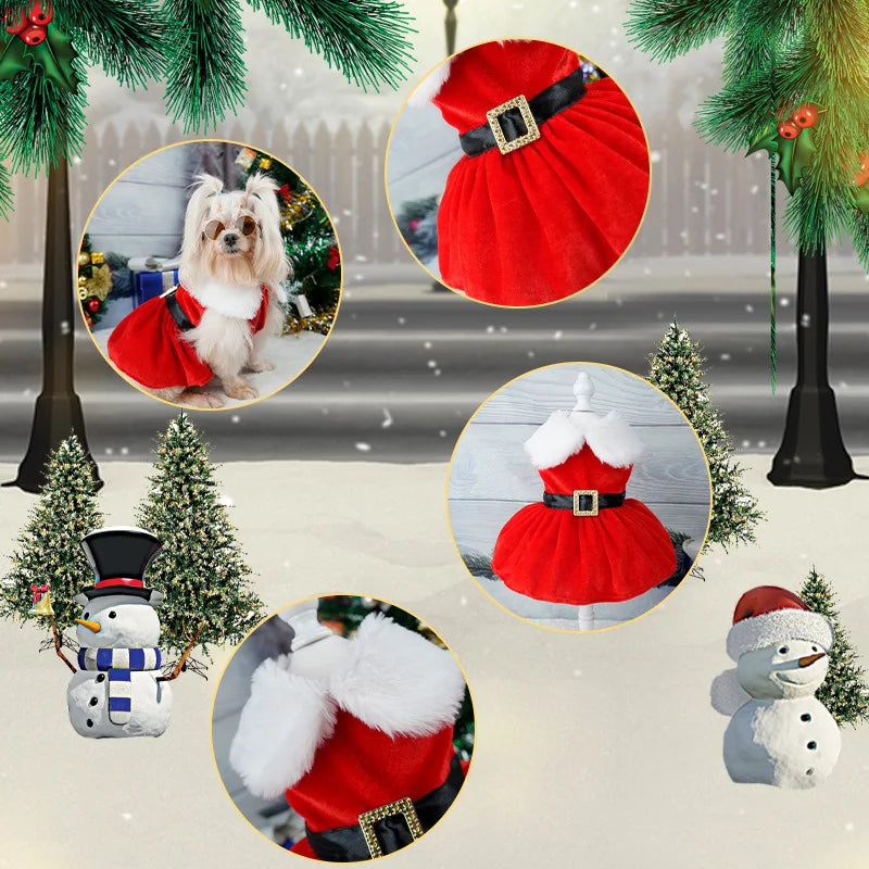 Christmas Dog Dress - Fancy Princess Outfit for Small Pets