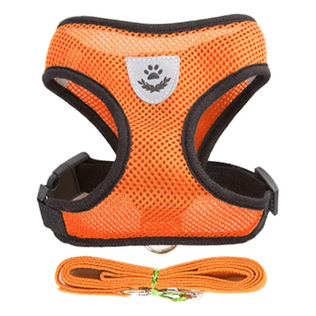 Adjustable Mesh Cat & Dog Harness with Leash – Small to Medium Pets