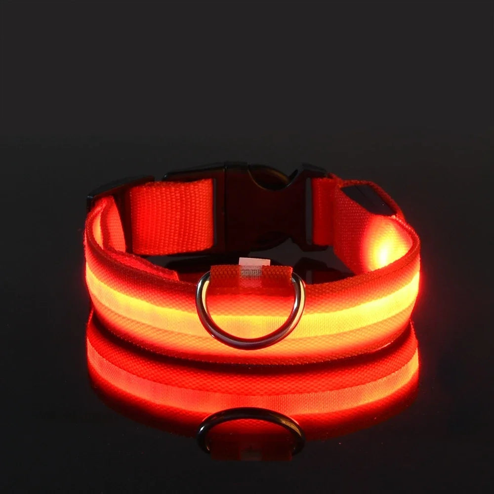 LED Glow-in-the-Dark Nylon Dog Collar – Safety Flashing Leash