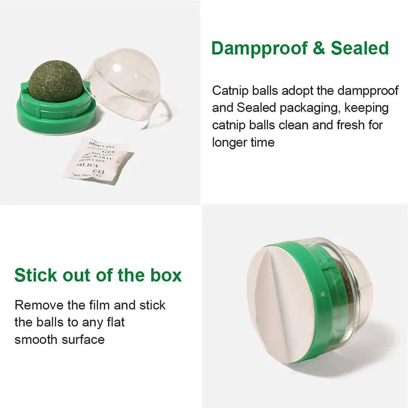Natural Catnip Wall Ball Toy – Digestive Aid & Treat for Cats