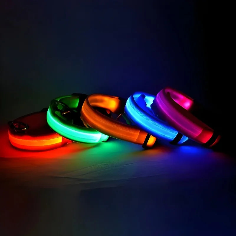 LED Glow-in-the-Dark Nylon Dog Collar – Safety Flashing Leash