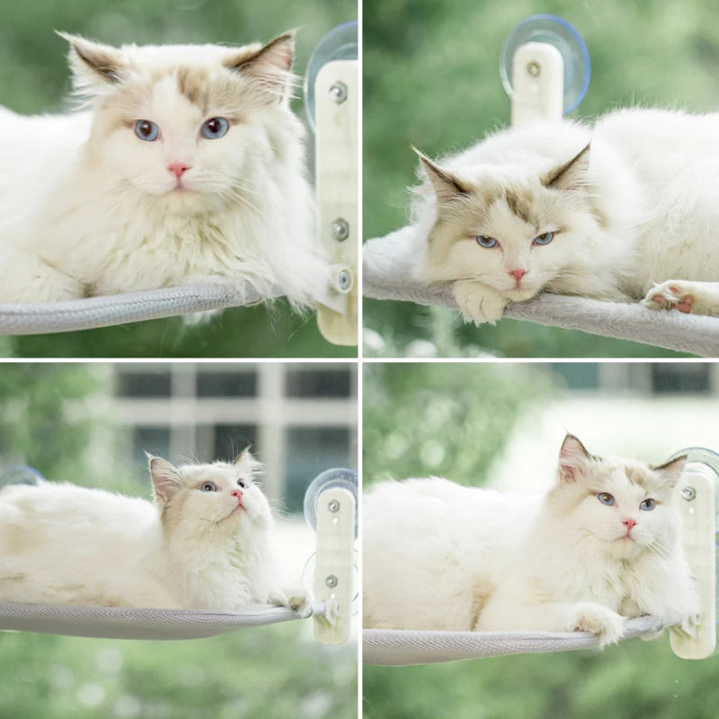 Cat Window Hammock