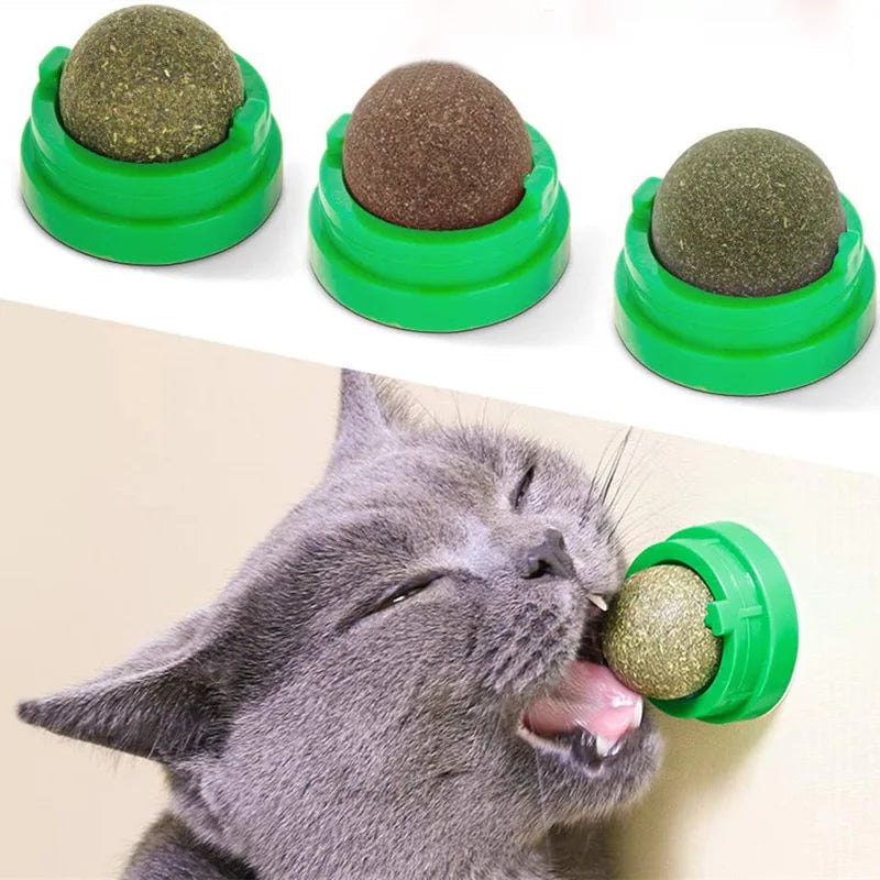 Natural Catnip Wall Ball Toy – Digestive Aid & Treat for Cats