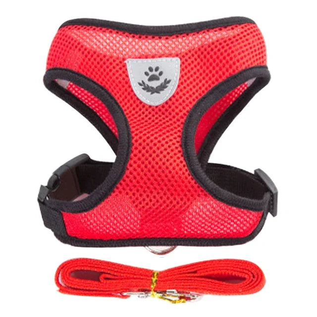 Adjustable Mesh Cat & Dog Harness with Leash – Small to Medium Pets