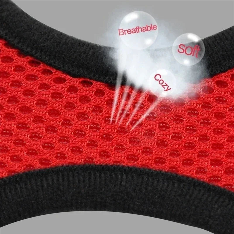 Adjustable Mesh Cat & Dog Harness with Leash – Small to Medium Pets