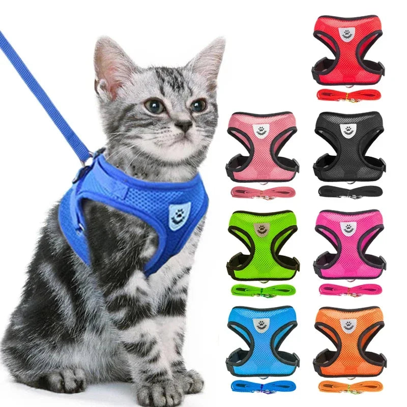 Adjustable Mesh Cat & Dog Harness with Leash – Small to Medium Pets