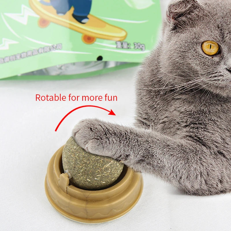 Natural Catnip Wall Ball Toy – Digestive Aid & Treat for Cats