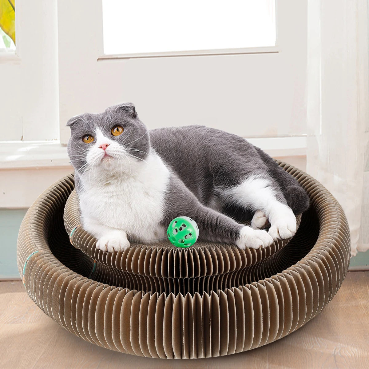 Cat Ball Toy