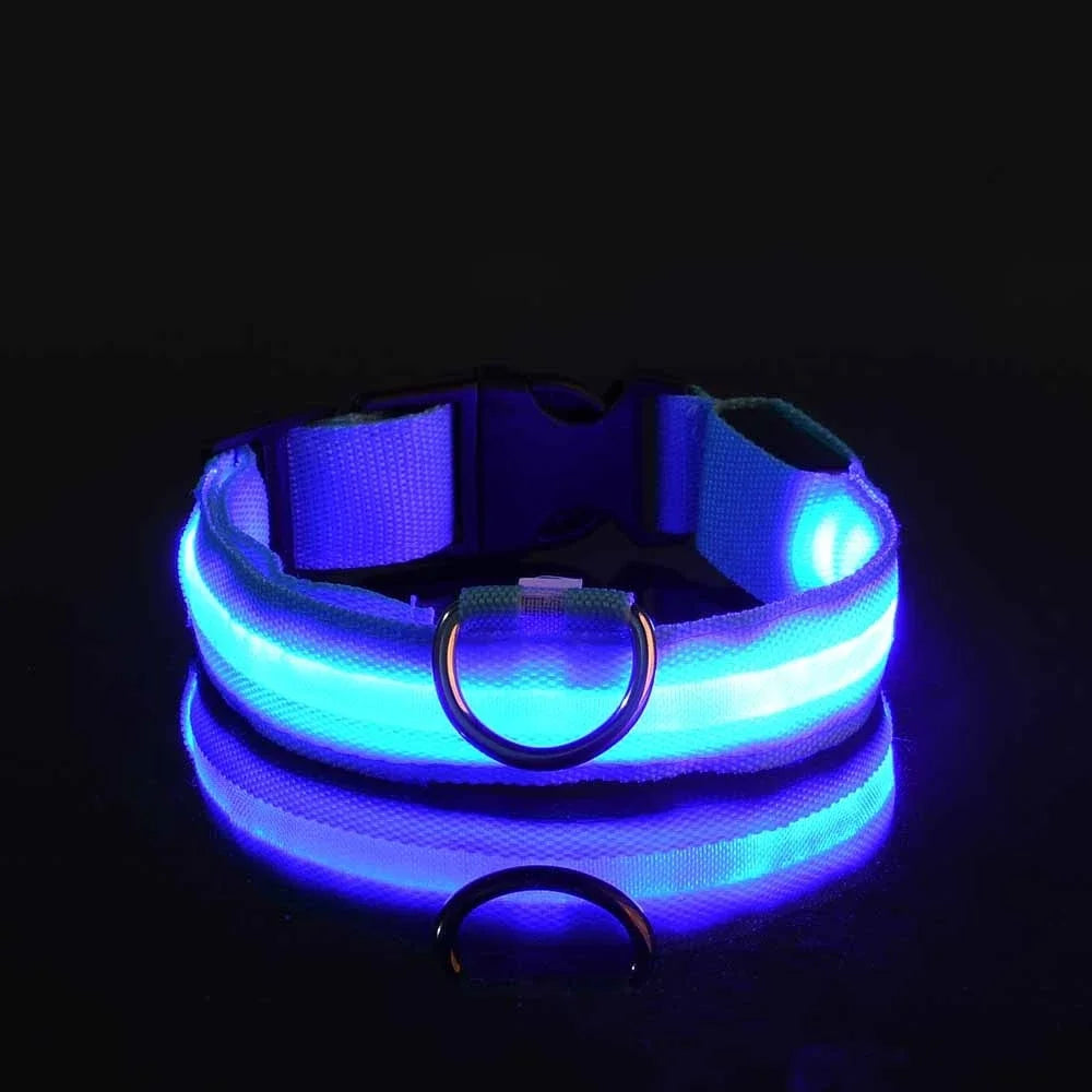 LED Glow-in-the-Dark Nylon Dog Collar – Safety Flashing Leash