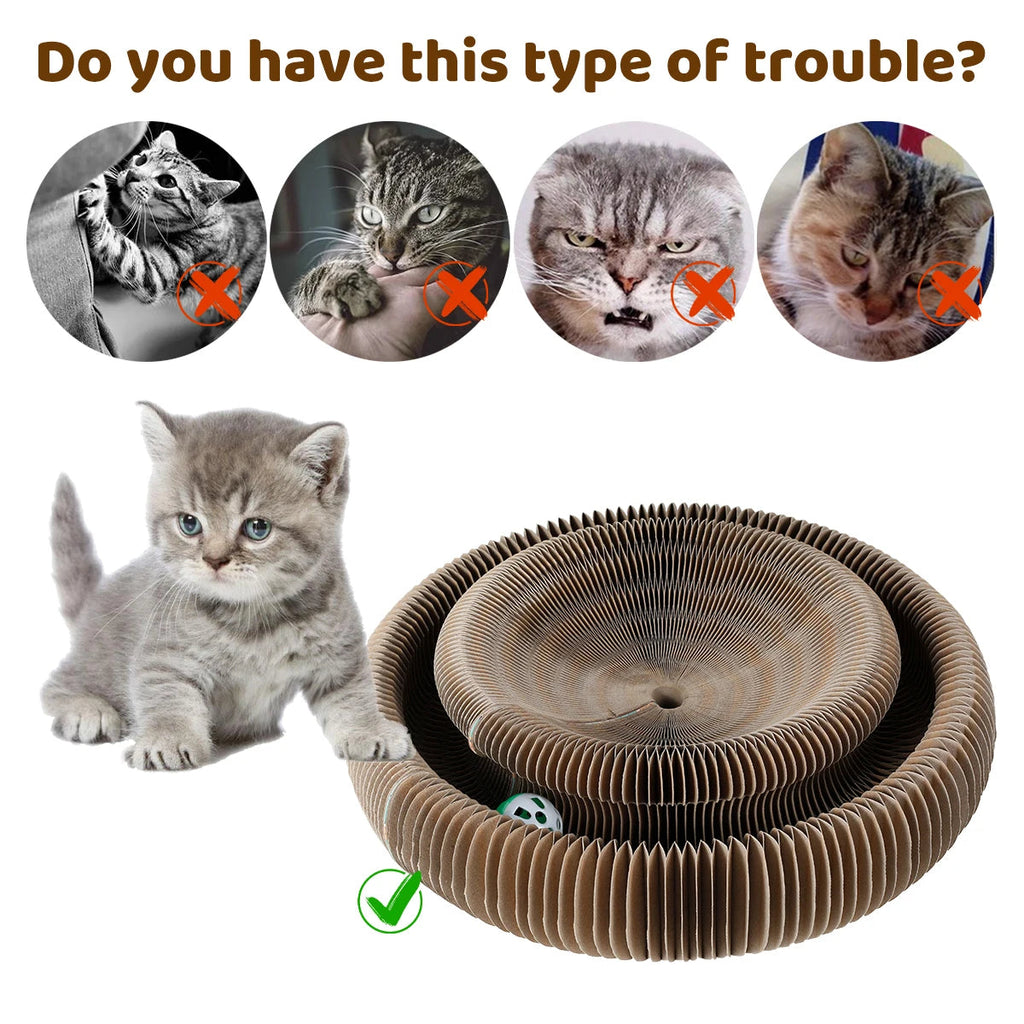Cat Ball Toy