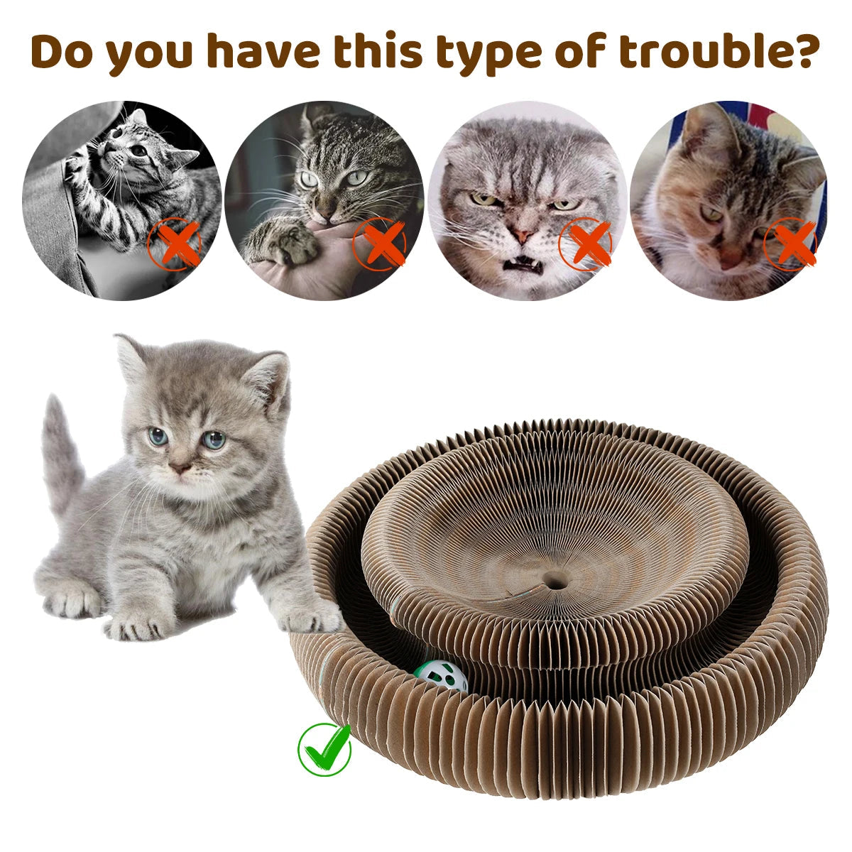 Cat Ball Toy
