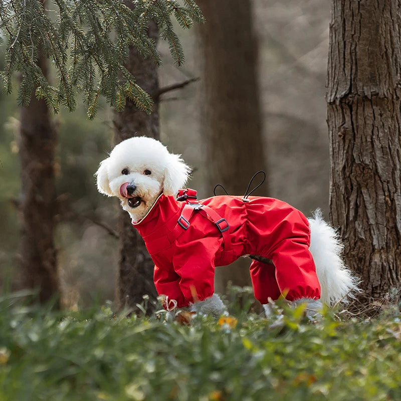 Waterproof Dog Raincoat with Harness – Reflective & Adjustable for Small/Medium Dogs