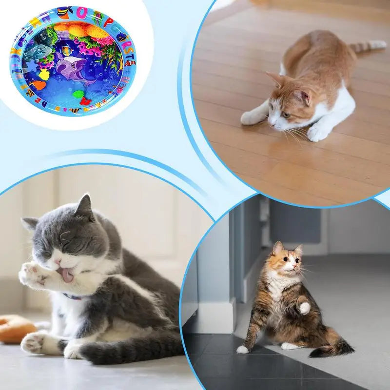 Pet Inflatable Water Play Mat