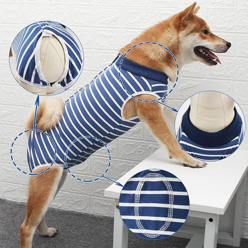 Dog Recovery Suit - Anti-Licking Surgical Onesie for Post-Surgery