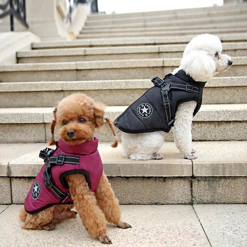 Waterproof Winter Jacket with Built-in Harness