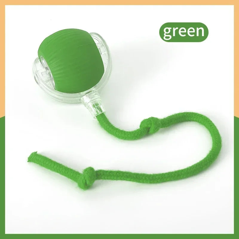 Smart Rechargeable Rolling Cat Toy with Faux Tail – Interactive Training Ball for Cats & Dogs