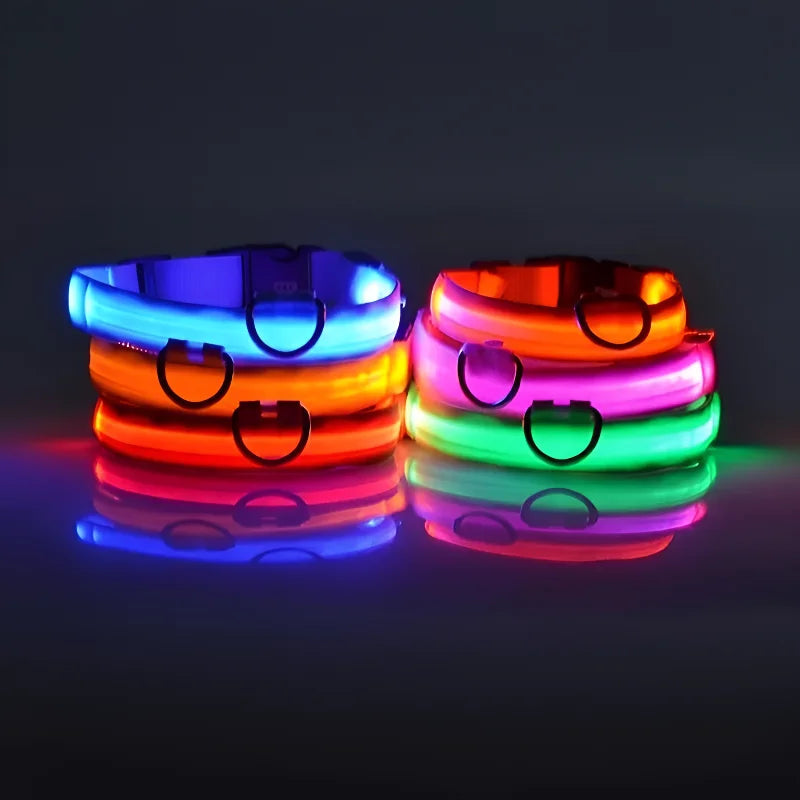 LED Glow-in-the-Dark Nylon Dog Collar – Safety Flashing Leash