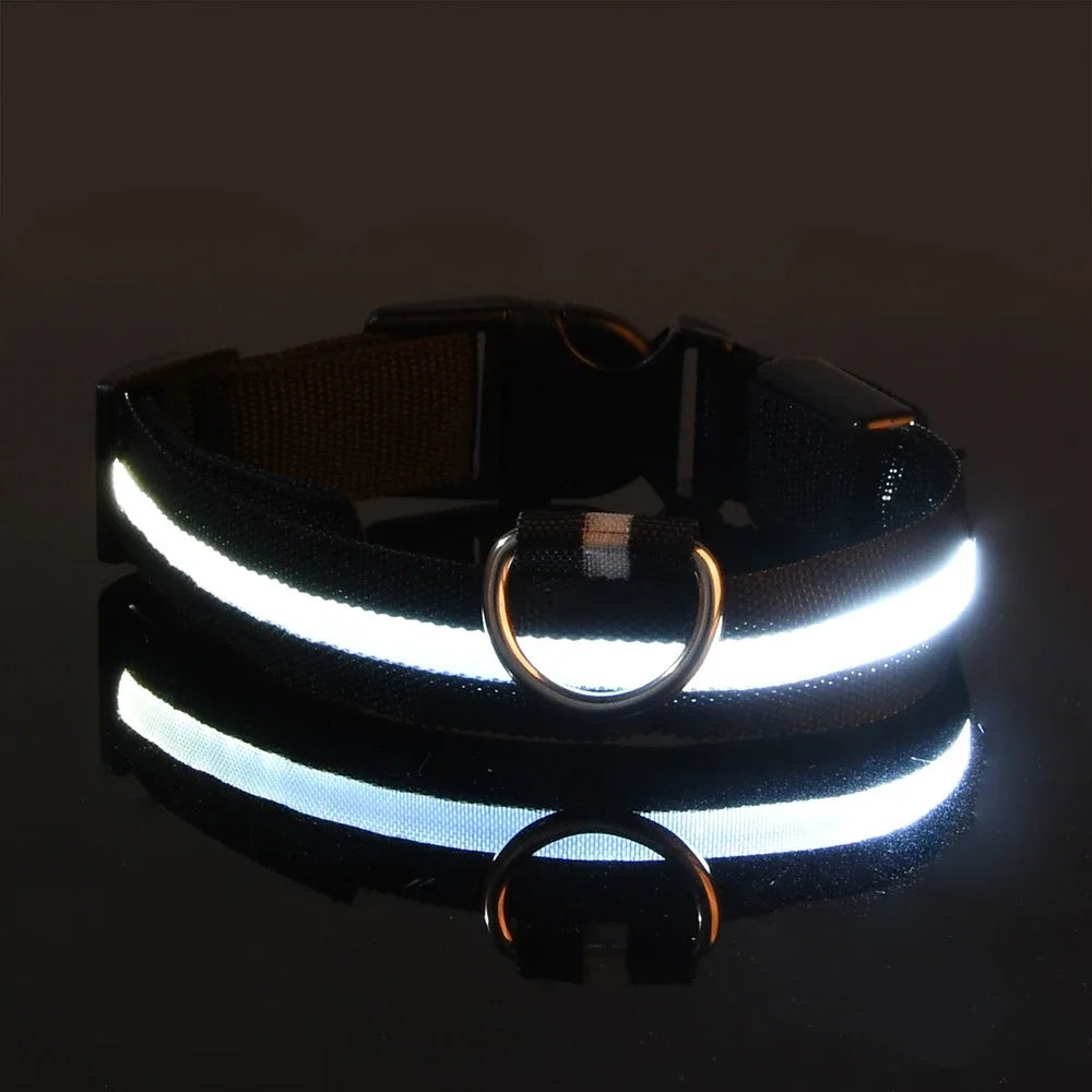 LED Glow-in-the-Dark Nylon Dog Collar – Safety Flashing Leash