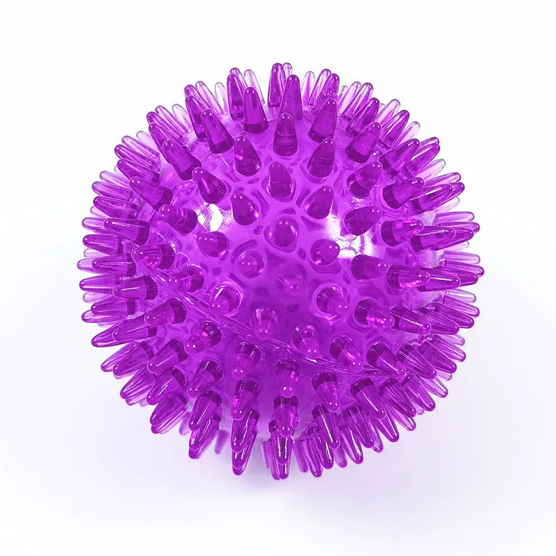 Pet Dog & Cat Squeaky Tooth Cleaning Ball - TPR Chew Toy for Puppies