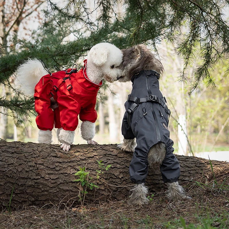 Waterproof Dog Raincoat with Harness – Reflective & Adjustable for Small/Medium Dogs