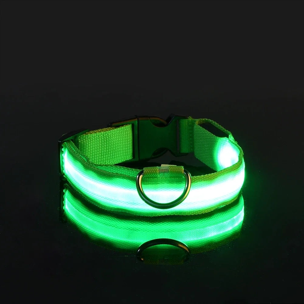 LED Glow-in-the-Dark Nylon Dog Collar – Safety Flashing Leash