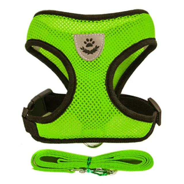 Adjustable Mesh Cat & Dog Harness with Leash – Small to Medium Pets