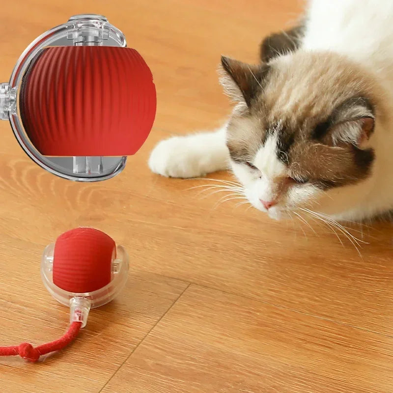 Smart Rechargeable Rolling Cat Toy with Faux Tail – Interactive Training Ball for Cats & Dogs