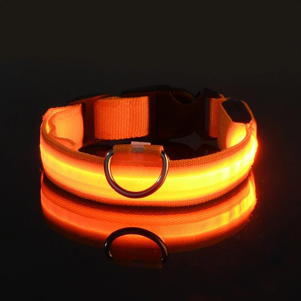LED Glow-in-the-Dark Nylon Dog Collar – Safety Flashing Leash