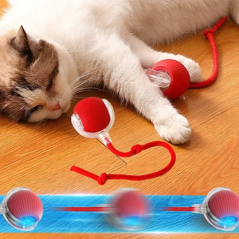 Smart Rechargeable Rolling Cat Toy with Faux Tail – Interactive Training Ball for Cats & Dogs