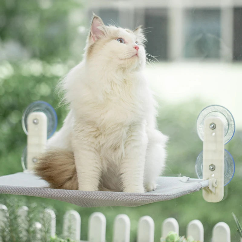 Cat Window Hammock