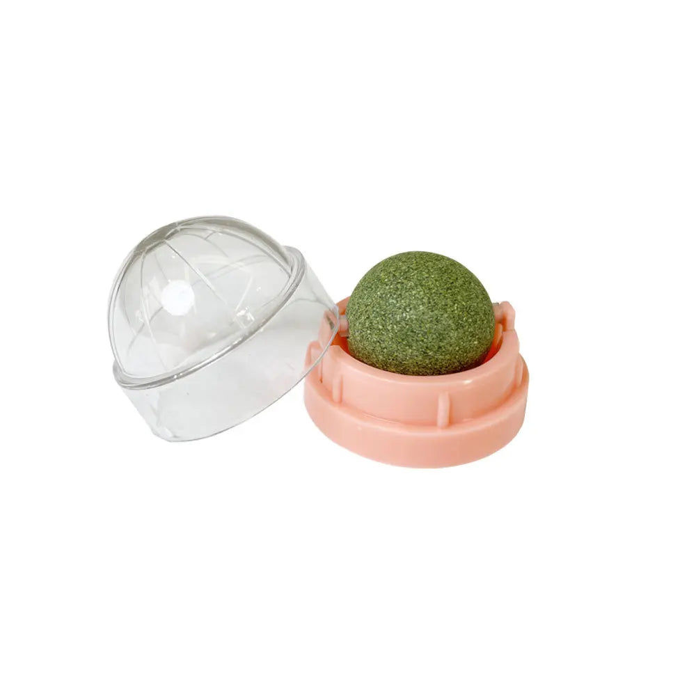 Natural Catnip Wall Ball Toy – Digestive Aid & Treat for Cats