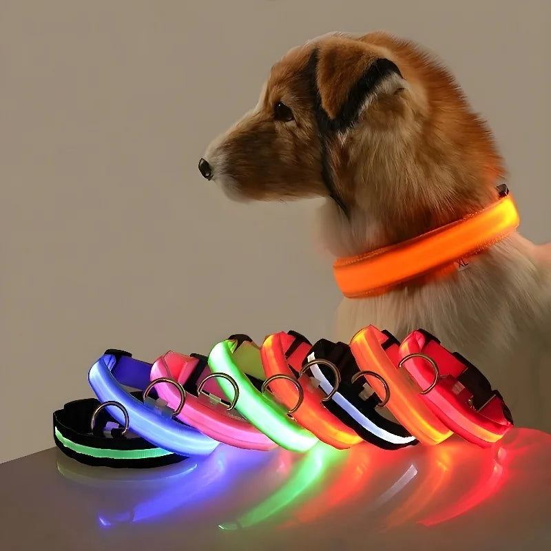 LED Glow-in-the-Dark Nylon Dog Collar – Safety Flashing Leash