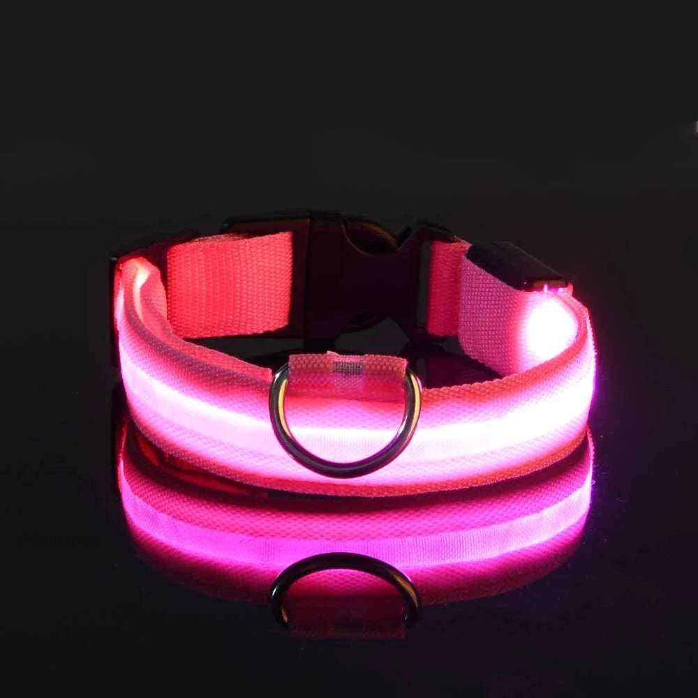 LED Glow-in-the-Dark Nylon Dog Collar – Safety Flashing Leash