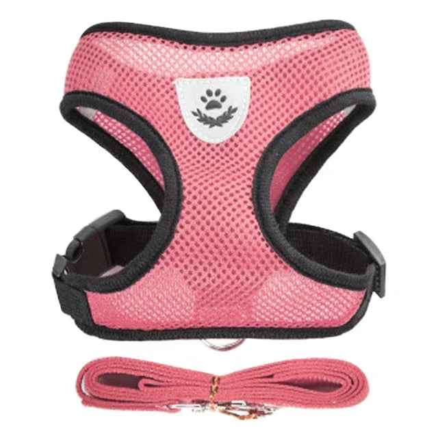 Adjustable Mesh Cat & Dog Harness with Leash – Small to Medium Pets