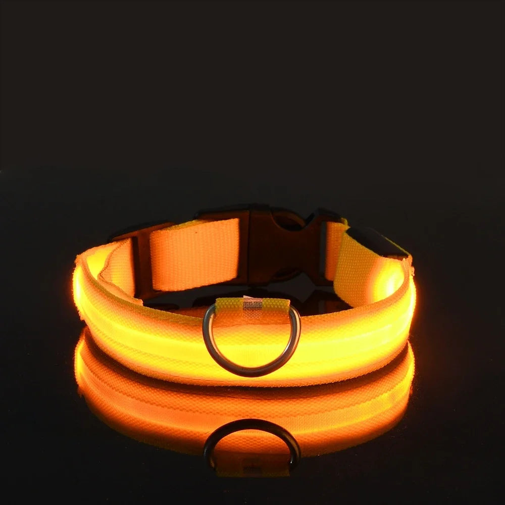 LED Glow-in-the-Dark Nylon Dog Collar – Safety Flashing Leash