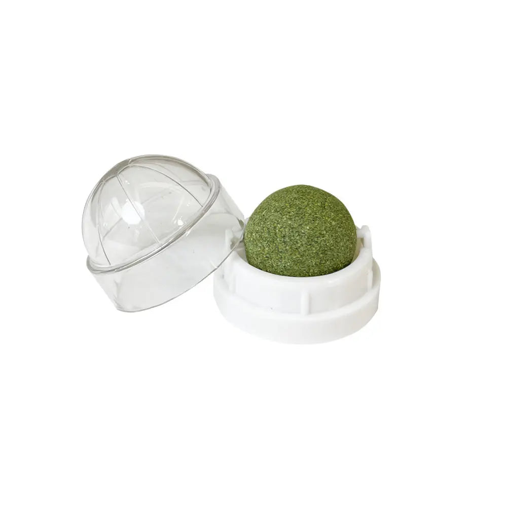 Natural Catnip Wall Ball Toy – Digestive Aid & Treat for Cats