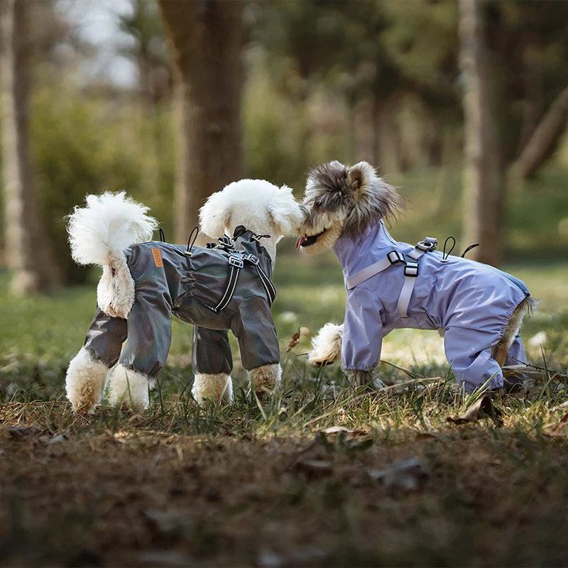 Waterproof Dog Raincoat with Harness – Reflective & Adjustable for Small/Medium Dogs